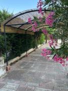Top Torre Lapillo