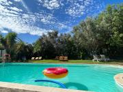 Top Silves