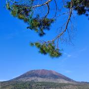 Top Torre del Greco