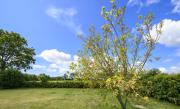 APPLEDOWN - Secluded Rural Retreat in Kingsdown, 10 mins to BEACH
