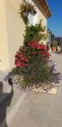 Top Manosque