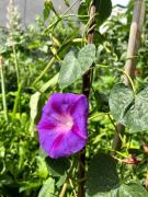 Top Kaštela Top Kaštela