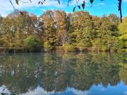 Top Mareuil-sur-Cher