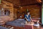 Top Ubud