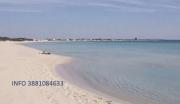 Top Porto Cesareo