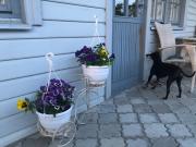 Top Kuressaare Top Kuressaare