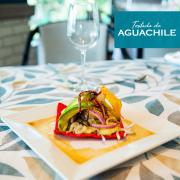 Top Tampico Top Tampico