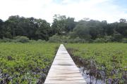 Top Bocas del Toro