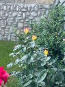 Top Bukowina Tatrzańska