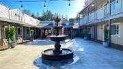 Top Willits