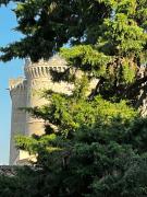 Top Tarascon
