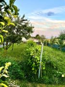 Top Horní Břečkov