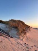 Top Wyk auf Föhr