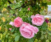 Top Vale de Pradinhos