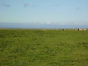 Ferienwohnung in Nessmersiel 20-042