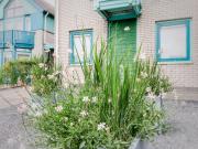 Grimaud 181 - Kustpark Village Scaldia