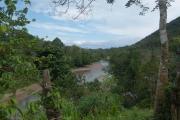 Top Bukit Lawang