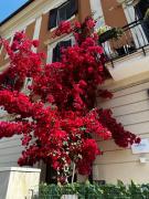 Mariviva Guest House
