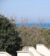 Top Rosa Marina