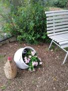 Top Castellana Grotte