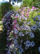 Top Castellana Grotte