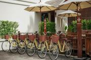 Top Chiang Mai