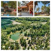 Forest Lodge Camping Menina