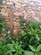Top Granja