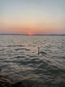 Top Balatonszárszó