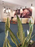 Hotel OLLANTAY- BV Hoteles