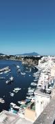 Top Procida