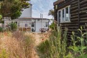 Top Dungeness