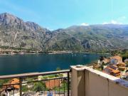 Top Kotor
