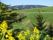 Top Loučná pod Klínovcem