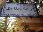 Top Calangute