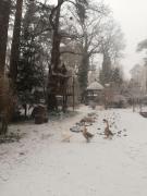 Top Milanówek Top Milanówek