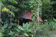 Top Bocas del Toro