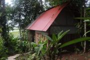 Top Bocas del Toro
