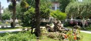 Top Star Dojran
