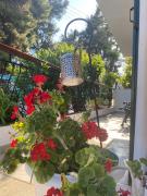 Top Ayios Nikolaos Sithonia