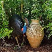 Mission Dreaming - 1 Bedroom Cottage