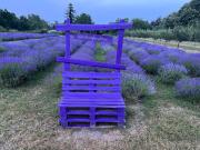 Top Balatonakarattya Top Balatonakarattya