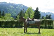 Top Balderschwang