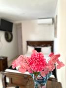 Top Cartagena de Indias