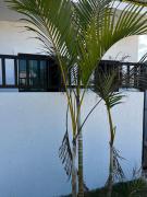 Meu Loft Barra Nova 4