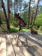 Top Chełsty Top Chełsty