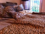 Top Stadt Schenefeld