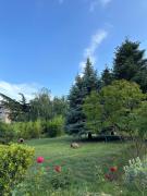 Alazani Valley Hotel