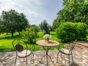 Top Cinigiano Top Cinigiano