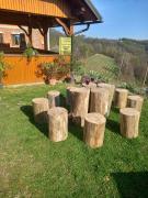 Top Brežice Top Brežice